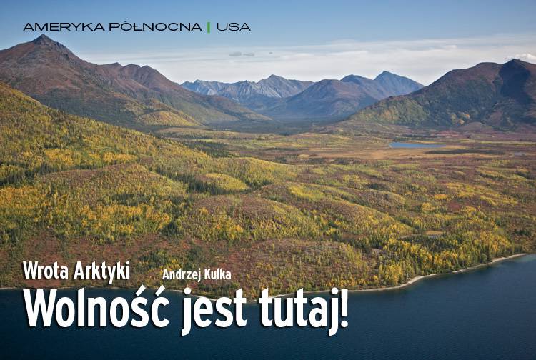 Losowy darmowy artykuł